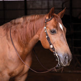 New! Schneiders® One Ear Diamond Tooled Silver Concho Ranch Headstall - Country Scene Saddlery and Pet Supplies