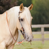 New! One Ear Silver Wave Two-Tone Show Headstall - Country Scene Saddlery and Pet Supplies