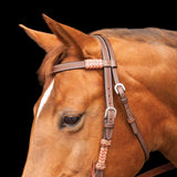 New! Schneiders® Browband Headstall with Chocolate Rawhide - Country Scene Saddlery and Pet Supplies