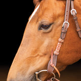 New! Schneiders® Browband Headstall with Chocolate Rawhide - Country Scene Saddlery and Pet Supplies