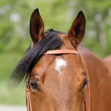 New! Schneiders® Harness Leather Browband Headstall with Tie Ends - Country Scene Saddlery and Pet Supplies