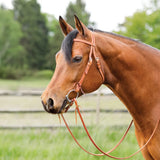 New! Schneiders® Harness Leather Browband Headstall with Tie Ends - Country Scene Saddlery and Pet Supplies