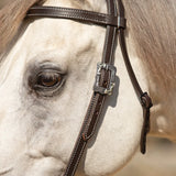 New! Billy Royal® Canyon Ridge Browband Ranch Headstall - Country Scene Saddlery and Pet Supplies