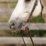 New! Billy Royal® Canyon Ridge Browband Ranch Headstall - Country Scene Saddlery and Pet Supplies