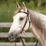 New! Billy Royal® Canyon Ridge Browband Ranch Headstall - Country Scene Saddlery and Pet Supplies