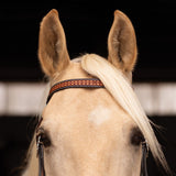 New! Schneiders® Ranch Turquoise Concho Two-Tone Browband Headstall - Country Scene Saddlery and Pet Supplies