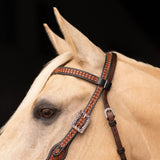 New! Schneiders® Ranch Turquoise Concho Two-Tone Browband Headstall - Country Scene Saddlery and Pet Supplies