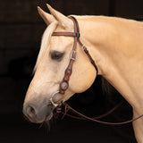 New! Schneiders® Ranch Turquoise Concho Two-Tone Browband Headstall - Country Scene Saddlery and Pet Supplies
