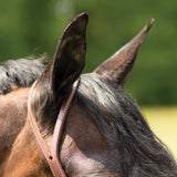 NEW! Billy Royal® Oiled Herman Oak Split Ear Headstall with Floral Buckle NEW ITEM - Country Scene Saddlery and Pet Supplies