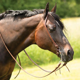 NEW! Billy Royal® Oiled Herman Oak Split Ear Headstall with Floral Buckle NEW ITEM - Country Scene Saddlery and Pet Supplies