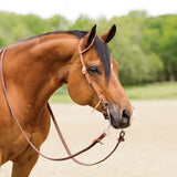 New! Billy Royal® Rolled One Ear Finished Hermann Oak Headstall - Country Scene Saddlery and Pet Supplies