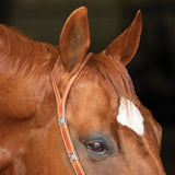 New! Schneiders® Split Ear Silver Show Headstall - Country Scene Saddlery and Pet Supplies