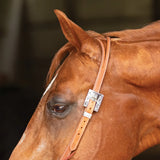 New! Schneiders® Split Ear Silver Show Headstall - Country Scene Saddlery and Pet Supplies