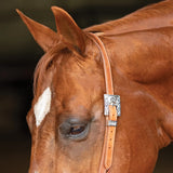 New! Schneiders® Split Ear Silver Show Headstall - Country Scene Saddlery and Pet Supplies