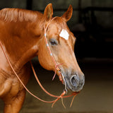 New! Schneiders® Split Ear Silver Show Headstall - Country Scene Saddlery and Pet Supplies
