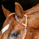 New! Schneiders® Two Ear Silver Plated Western Show Headstall - Country Scene Saddlery and Pet Supplies