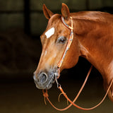 New! Schneiders® Two Ear Silver Plated Western Show Headstall - Country Scene Saddlery and Pet Supplies