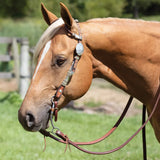 New! Schneiders® Two Ear Tooled Show Headstall with Rawhide Accents - Country Scene Saddlery and Pet Supplies