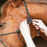 New! Schneiders® Rope Halter with Safety Breakaway Tab - Country Scene Saddlery and Pet Supplies