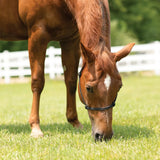 New! Schneiders® Rope Halter with Safety Breakaway Tab - Country Scene Saddlery and Pet Supplies