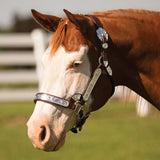 New! Schneiders® Dixie II Show Halter with Lead - Country Scene Saddlery and Pet Supplies