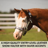 New! Schneiders® Dixie II Show Halter with Lead - Country Scene Saddlery and Pet Supplies