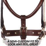 New! Schneiders® Dixie II Show Halter with Lead - Country Scene Saddlery and Pet Supplies