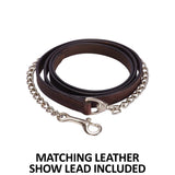 New! Schneiders® Dixie II Show Halter with Lead - Country Scene Saddlery and Pet Supplies