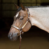 New! Schneiders® Phoenix II Silver Show Halter with Lead - Country Scene Saddlery and Pet Supplies