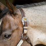 New! Schneiders® Phoenix II Silver Show Halter with Lead - Country Scene Saddlery and Pet Supplies