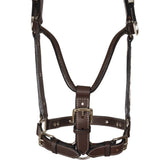 New! Schneiders® Phoenix II Silver Show Halter with Lead - Country Scene Saddlery and Pet Supplies
