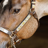 New! Schneiders® Phoenix II Silver Show Halter with Lead - Country Scene Saddlery and Pet Supplies