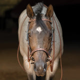 New! Schneiders® Tooled Leather Side Pull - Country Scene Saddlery and Pet Supplies