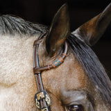 New!Schneiders® Turquoise Rawhide Rolled One Ear Headstall - Country Scene Saddlery and Pet Supplies