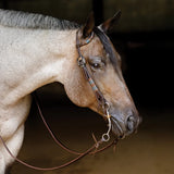 New!Schneiders® Turquoise Rawhide Rolled One Ear Headstall - Country Scene Saddlery and Pet Supplies