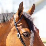 New!Billy Royal® Black Leather Rolled One Ear Headstall - Country Scene Saddlery and Pet Supplies