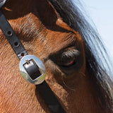 New!Billy Royal® Black Leather Rolled One Ear Headstall - Country Scene Saddlery and Pet Supplies