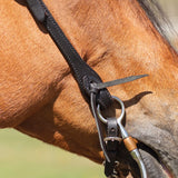 New!Billy Royal® Black Leather Rolled One Ear Headstall - Country Scene Saddlery and Pet Supplies