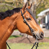 New!Billy Royal® Black Leather Rolled One Ear Headstall - Country Scene Saddlery and Pet Supplies