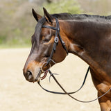 New! Billy Royal® Black Leather Browband Headstall - Country Scene Saddlery and Pet Supplies