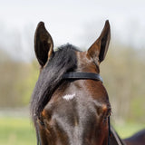 New! Billy Royal® Black Leather Browband Headstall - Country Scene Saddlery and Pet Supplies