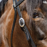 New! Billy Royal® Black Leather Browband Headstall - Country Scene Saddlery and Pet Supplies