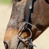 New! Billy Royal® Black Leather Browband Headstall - Country Scene Saddlery and Pet Supplies
