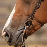 New! Billy Royal® Canyon Ranch Two Ear Ranch Headstall - Country Scene Saddlery and Pet Supplies