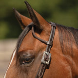 New! Billy Royal® Canyon Ranch Two Ear Ranch Headstall - Country Scene Saddlery and Pet Supplies