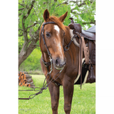 5/8” Floral Tooled Browband Headstall - Country Scene Saddlery and Pet Supplies