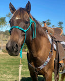 New! CSSLight01- Custom Light Weight Barrel Saddles - Country Scene Saddlery and Pet Supplies