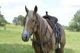 New !Rosewood Spot Breast Collar - Country Scene Saddlery and Pet Supplies
