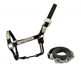 New! Dark Oil Average Horse size leather show halter - Country Scene Saddlery and Pet Supplies