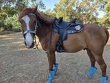 New! Southern Cross endurance saddle Under 7kg - Country Scene Saddlery and Pet Supplies